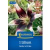 LILIUM 'NETTY'S PRIDE' (ÁZIJSKÁ ĽALIA) Bruno