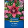 LILIUM 'PURPLE EYE' (ÁZIJSKÁ ĽALIA) Bruno