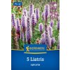 LIATRIS SPICATA (HVIEZDOVKA KLASNATÁ) MODRÁ kiep