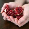 PUNICA GRANATUM ist3