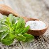STEVIA REBAUDIANA 'SWEETY' (STÉVIA)_istock