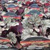 HEUCHERA 'SILVER SCROLLS' kak