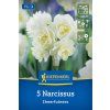 NARCISSUS PSEUDONARCISSUS 'CHEERFULNESS' (NARCIS)1