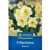 NARCISSUS 'MINNOW' (NARCIS)1
