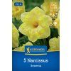 NARCISSUS PSEUDONARCISSUS 'SNOWTIP' (NARCIS)1