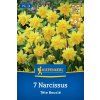 NARCISSUS CYCLAMINEUS 'TÊTE BOUCLÉ' (NARCIS)