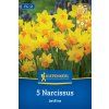 NARCISSUS 'JETFIRE' (NARCIS)1