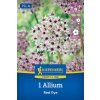 ALLIUM 'RED EYE' (CESNAK OKRASNÝ)1