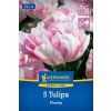 TULIPA 'FINOLA' (TULIPÁN)1