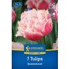 TULIPA 'QUEENSLAND' (TULIPÁN)1
