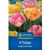 TULIPA 'BRIGHT HARMONY' MIX (TULIPÁN)1