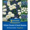 'WHITE CLOUDS & DARK HEAVEN' MIX (CIBUĽOVINY)1