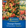 'ORANGE FLOWER MIX' (CIBUĽOVINY)1