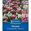 'HANAMI MIX' (CIBUĽOVINY)1