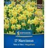 NARCISSUS 'TÊTE À TÊTE' MEGA PACK (NARCIS)1