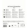 CROCUS CHRYSANTHUS MIX MEGA PACK (KROKUS)2