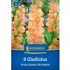 GLADIOLUS 'GREAT QUEEN ELIZABETH' bruno