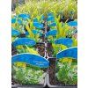 CONVALLARIA MAJALIS 'VARIEGATA' (KONVALINKA) kak