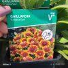 GAILLARDIA 'ARIZONA SUN' kak1