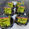 HOSTA 'WIDE BRIM' kak3