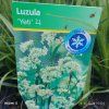 LUZULA NIVEA 'YETI' kak