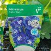 DELPHINIUM CULTORUM 'JUPITER BLUE' kak