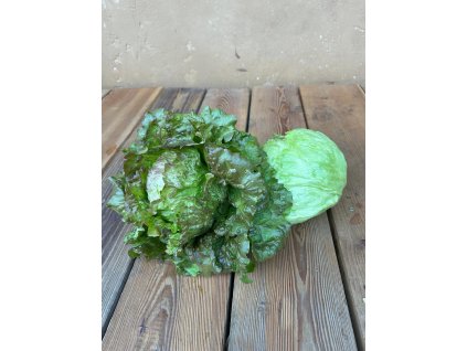 4398e71d 0c41 446b 83f7 ee9230ddff7e