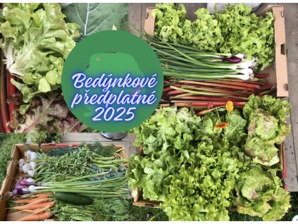 Snímek obrazovky 2024 07 12 v 11.13.59