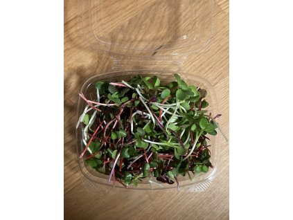 Microgreens - ředkvičky a daikon - malé balení (40g)