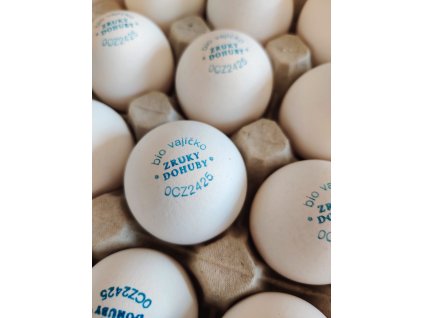 BIO vejce
