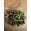 Microgreens - ředkvičky a daikon - malé balení (40g)