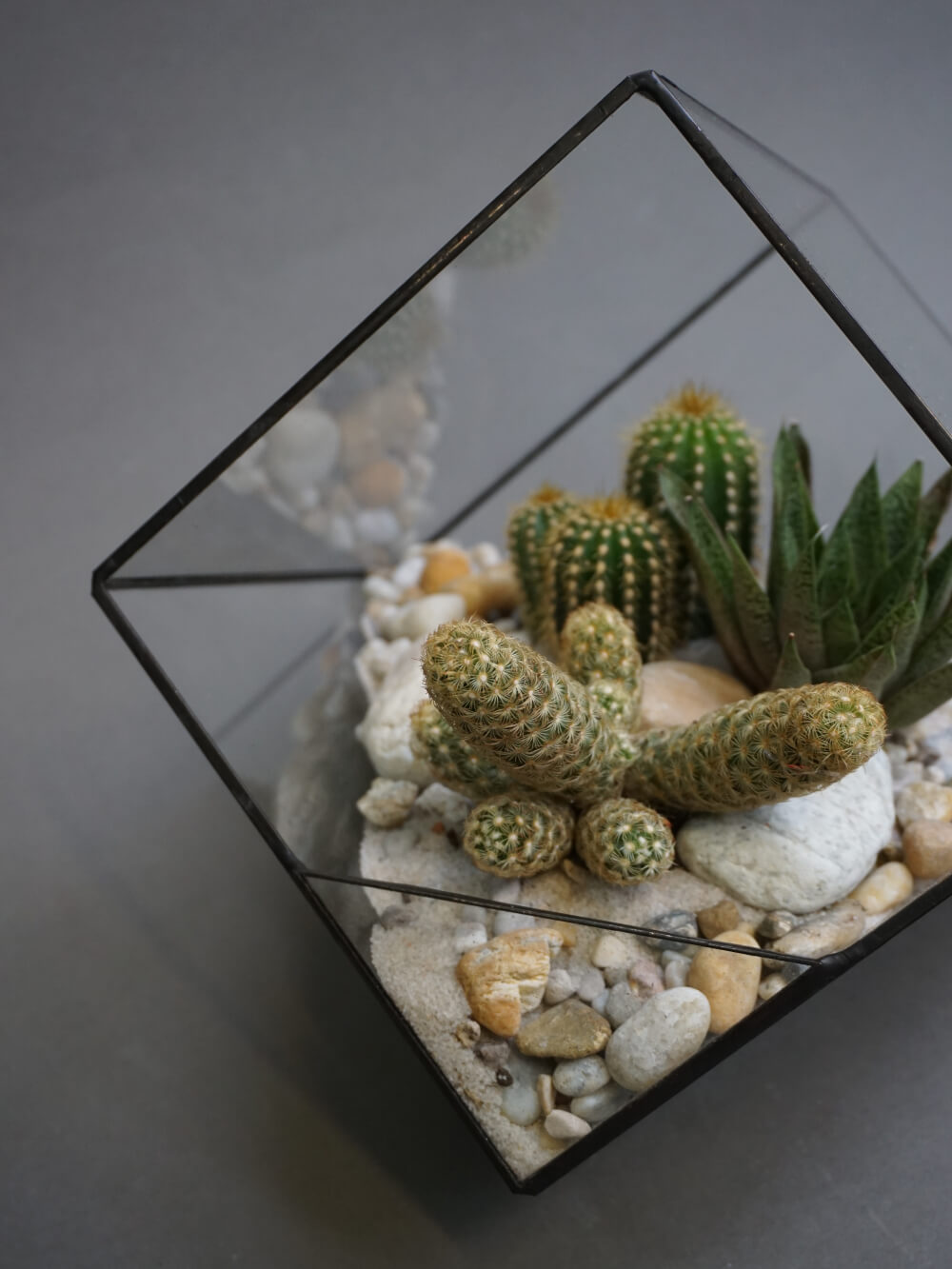DIY: Jak osázet sukulentní terárium