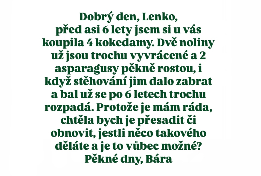 Lze předělat kokedamu?