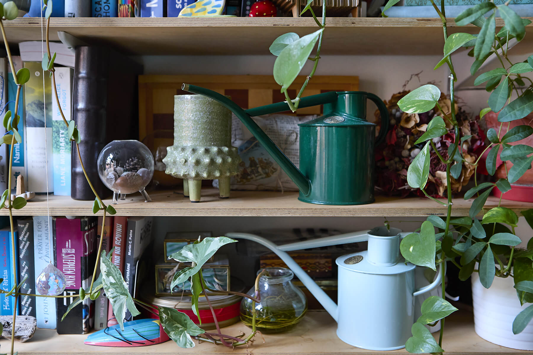 Všechno co potřebujete vědět o zalévání pokojových rostlin