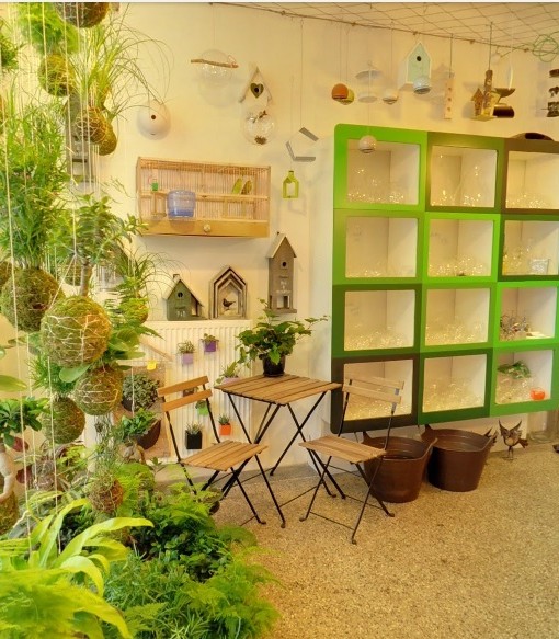 Virtuálně v Zahradě