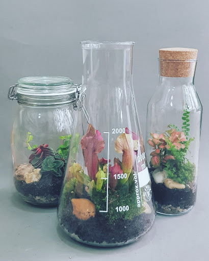 DIY: Jak osázet vlhkomilné florárium