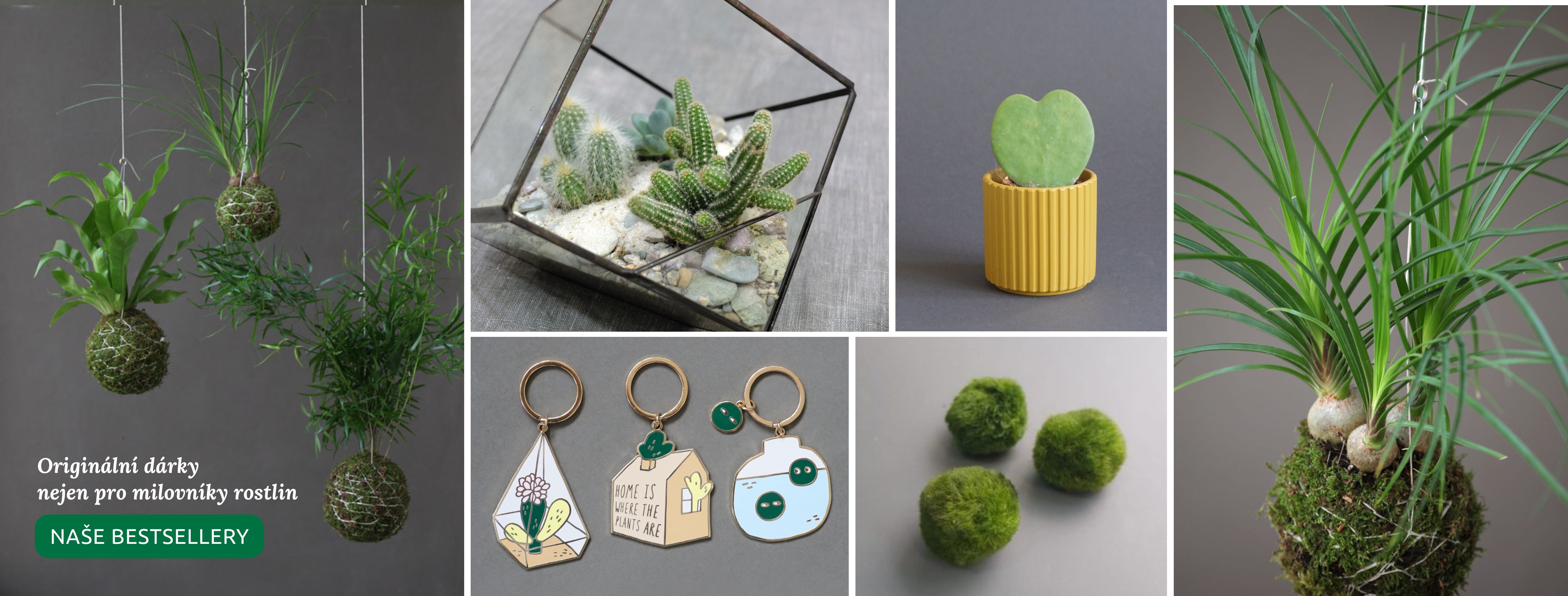 Originální dárky nejen pro milovníky rostlin