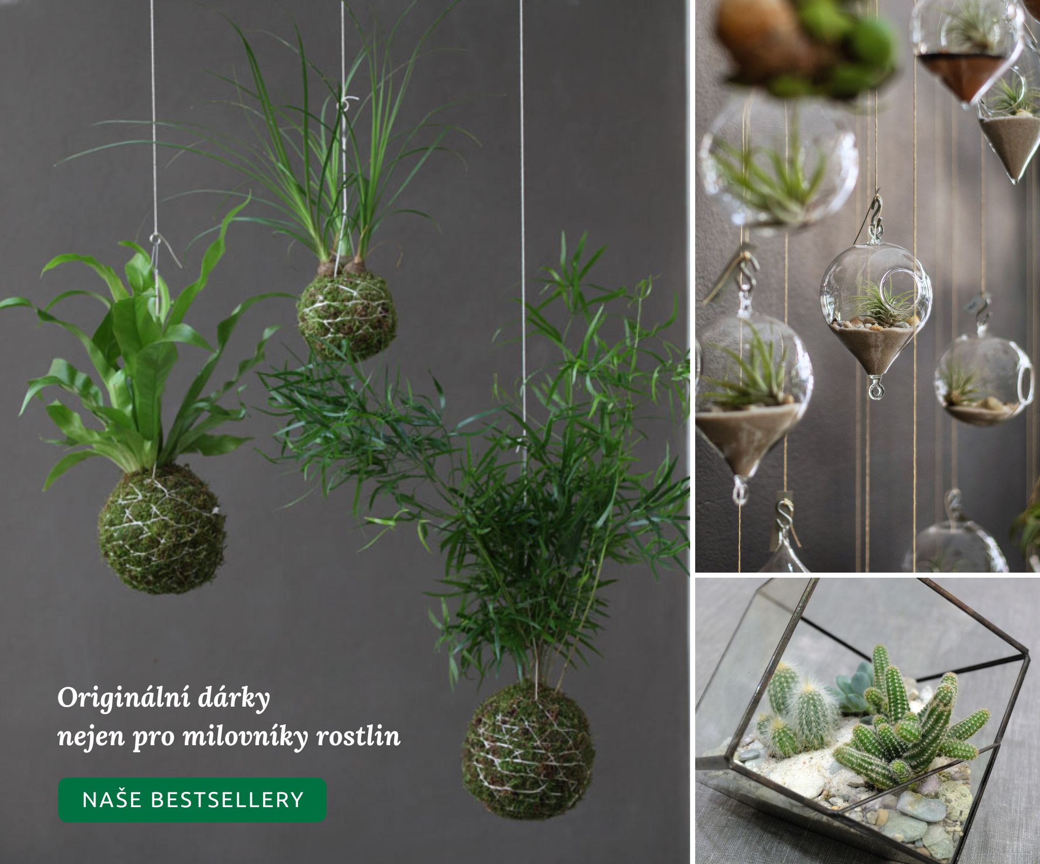 Originální dárky nejen pro milovníky rostlin