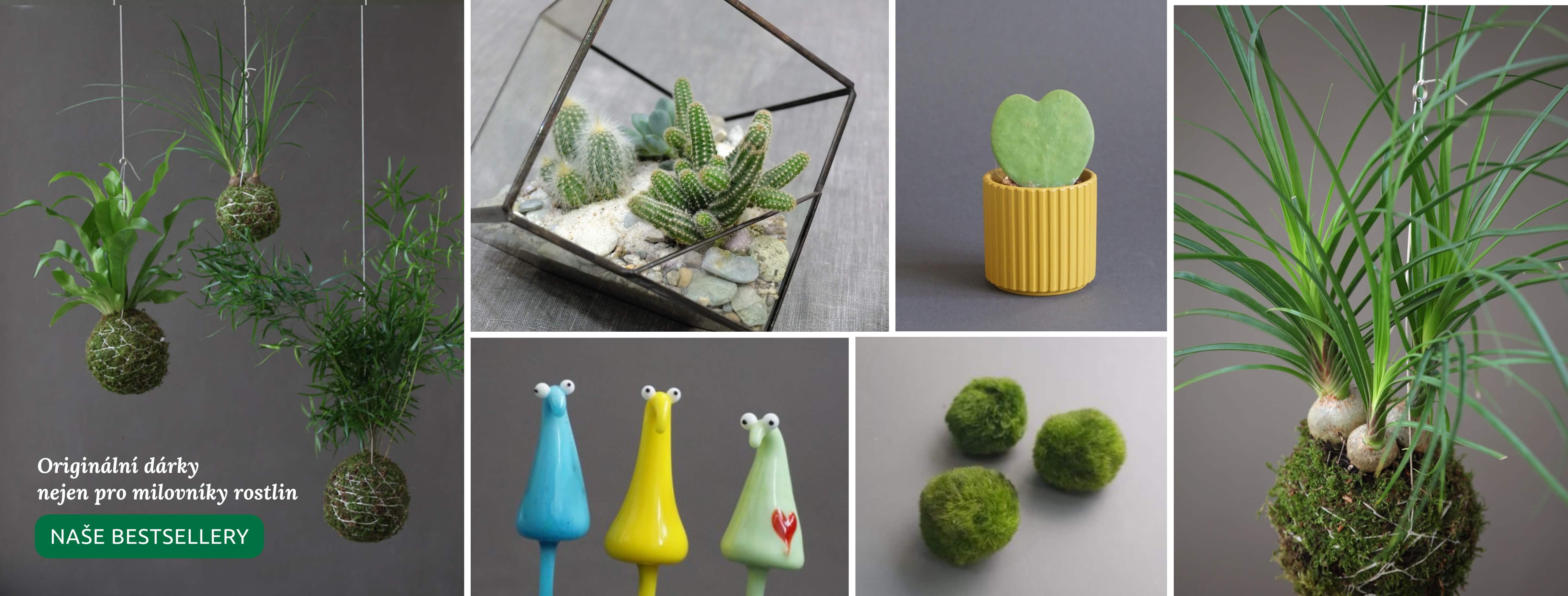 Originální dárky nejen pro milovníky rostlin