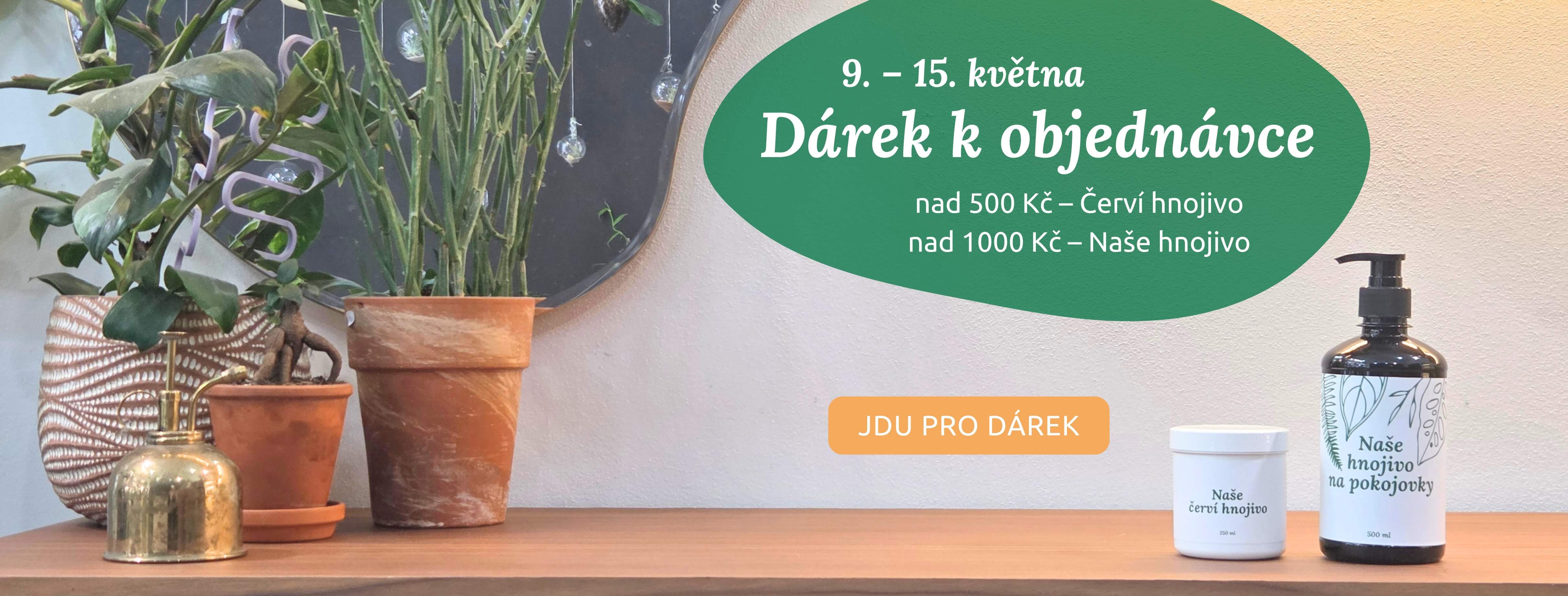 Dárek k objednávce pro vaše pokojovky