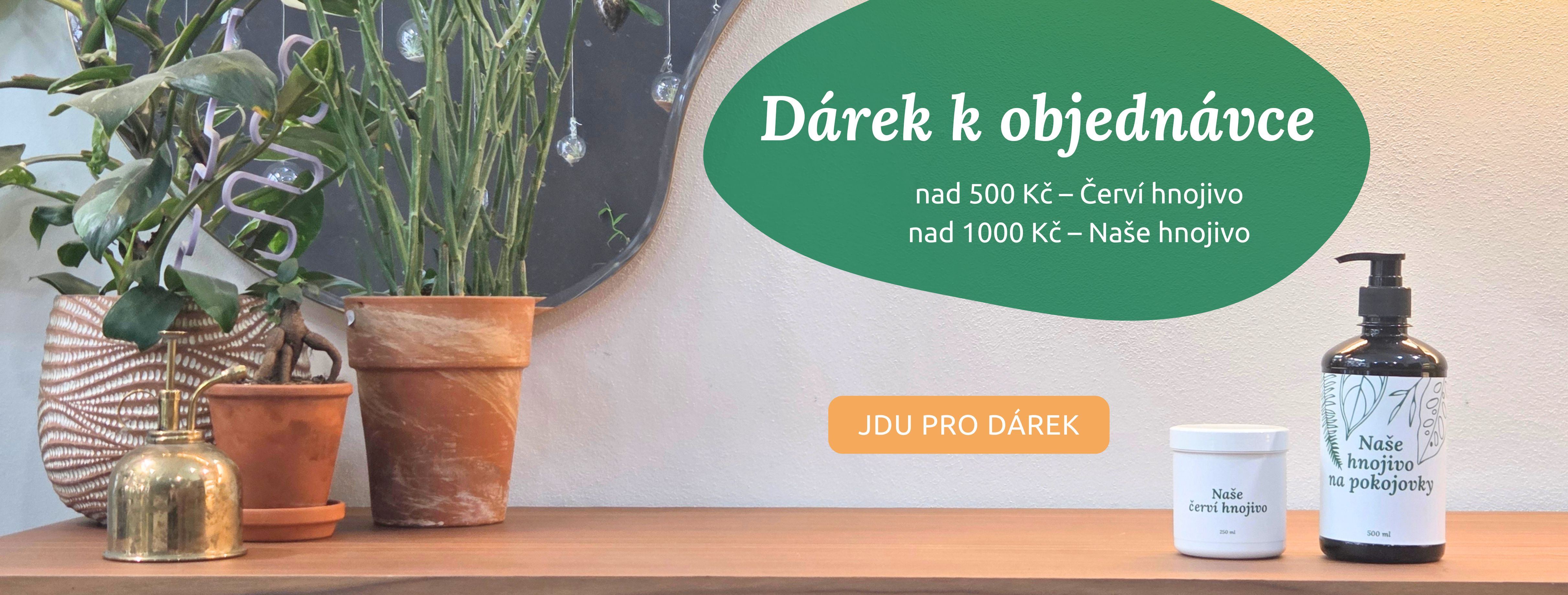 Dárek k objednávce pro vaše pokojovky
