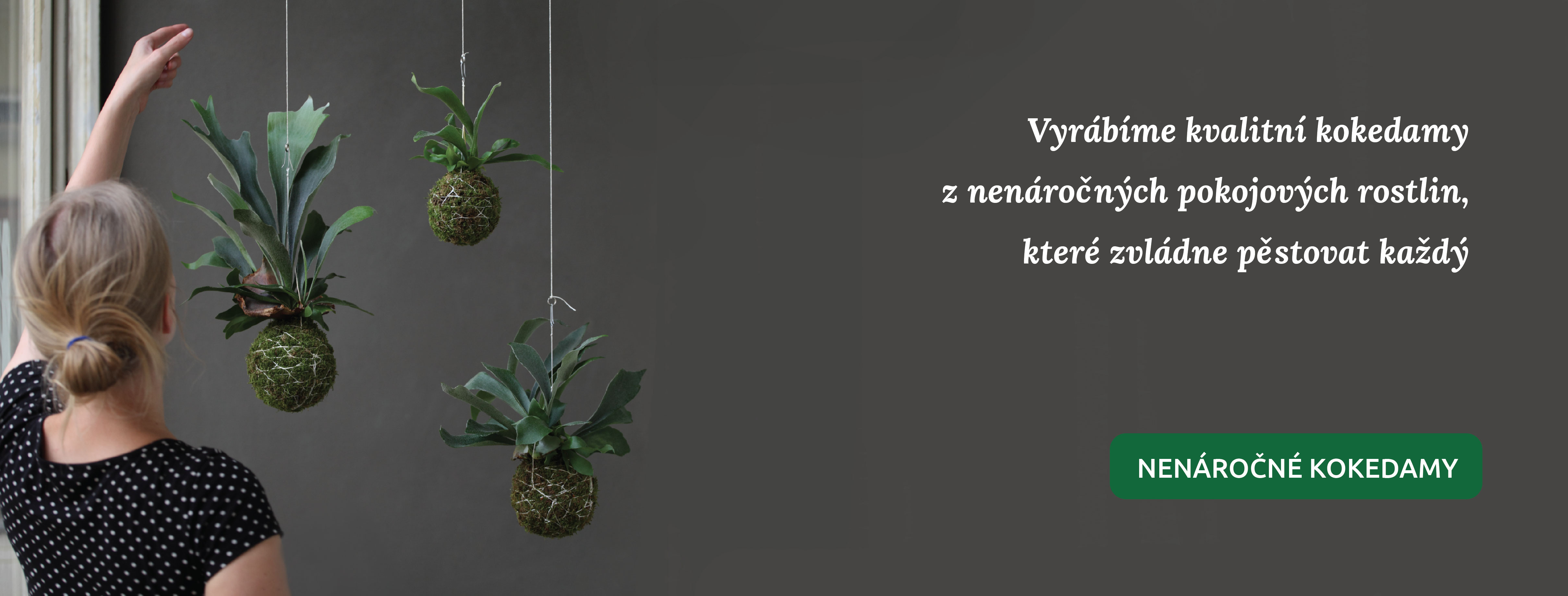 nenáročné kokedamy pro každého