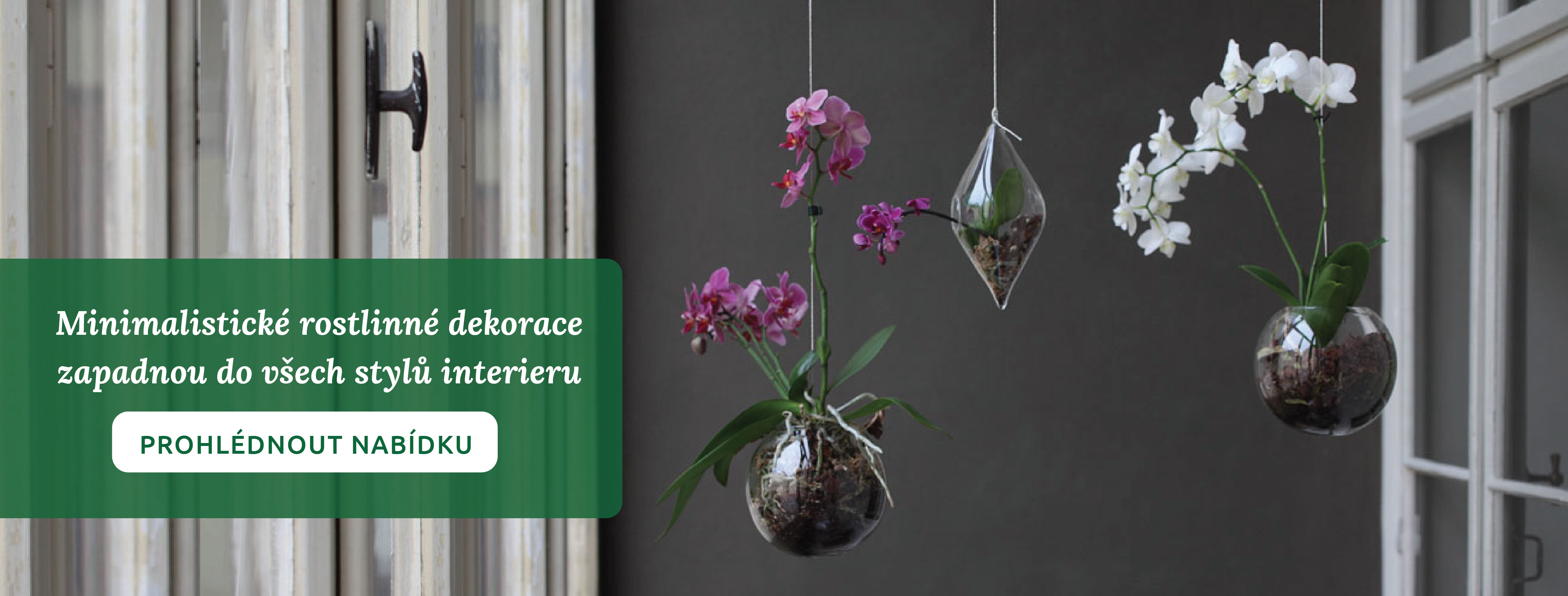 Minimalisticke rostlinné dekorace sedí každému stylu interieru