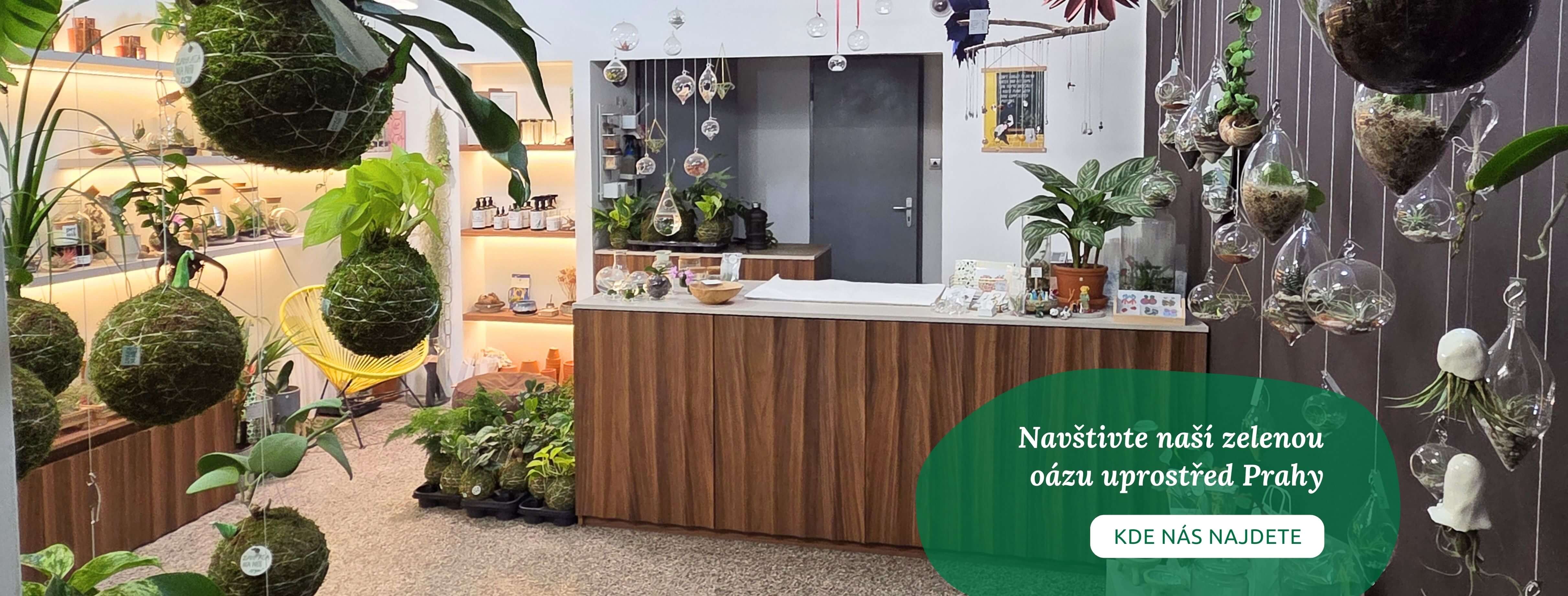 Kamenný obchod Zahrada na niti na Praze 1