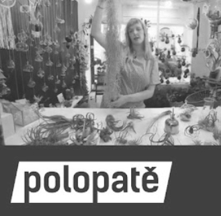Reportáž Polopatě o tillandsiích