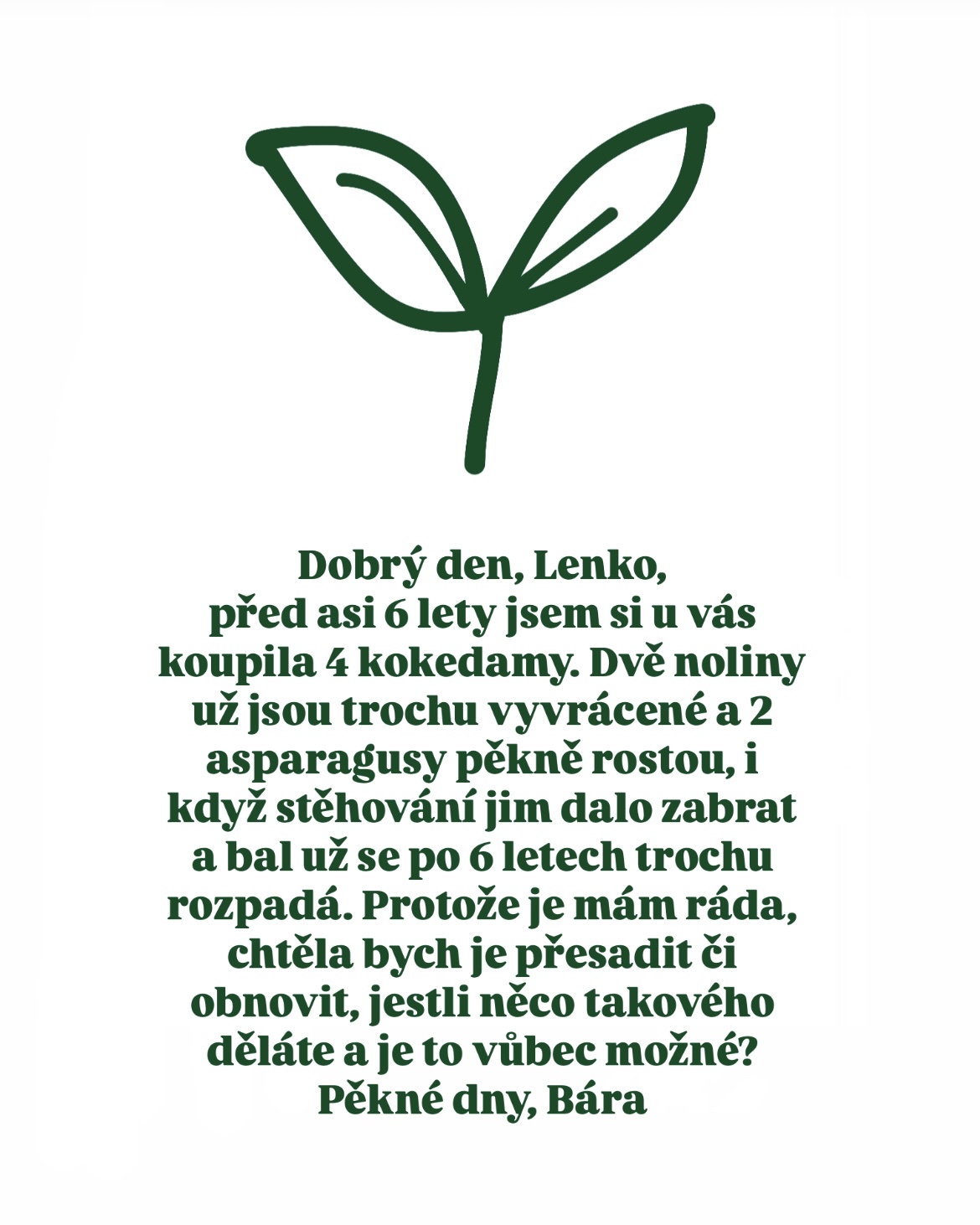 pokojovkova-poradna-dotaz