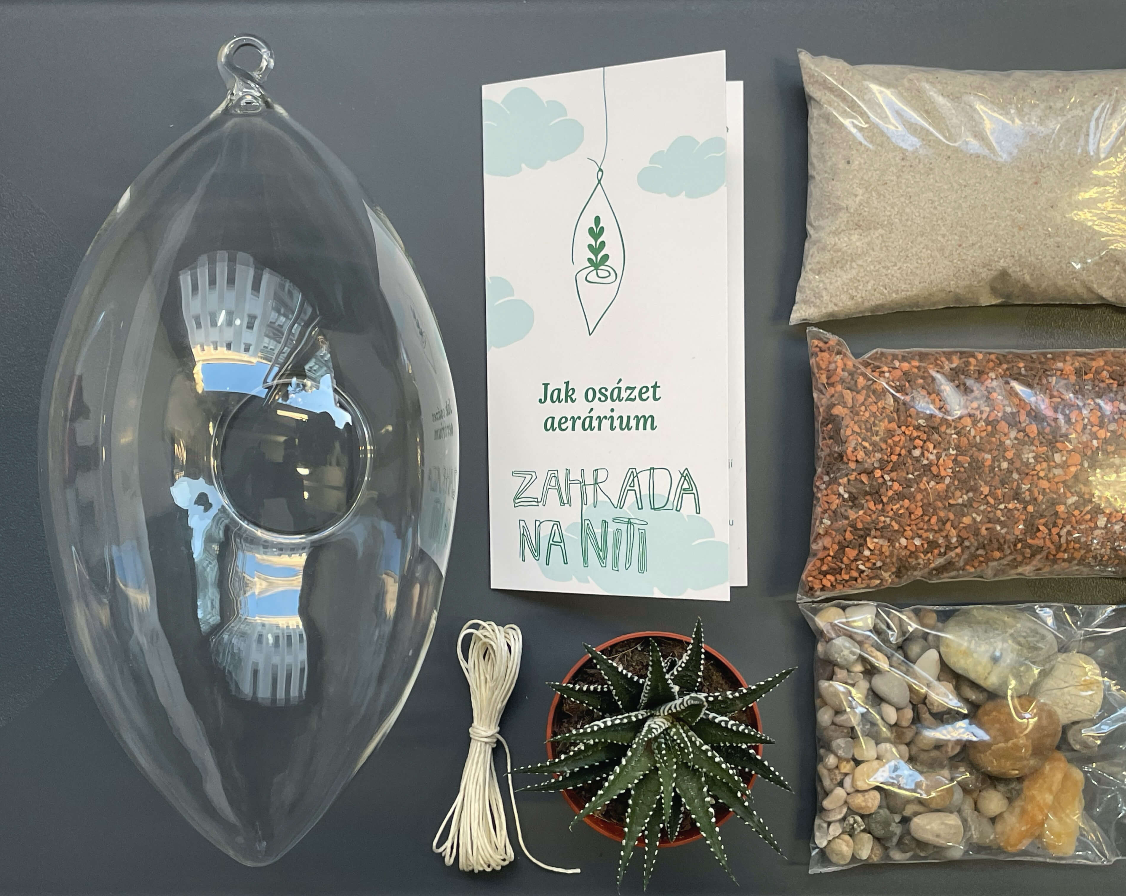 diy-sada-aerarium