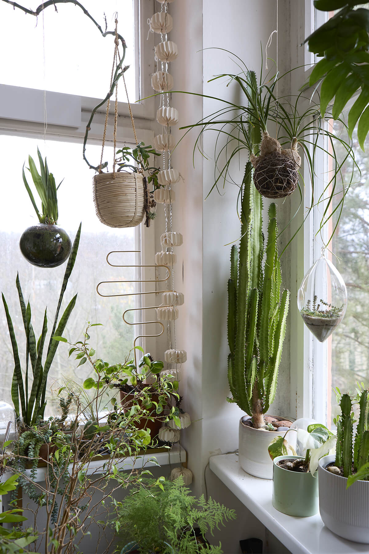 pokojovky-zimni-zahrada