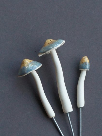 Zápich houbička límcovka