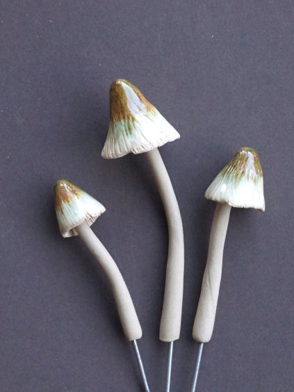 Zápich houbička křehutka